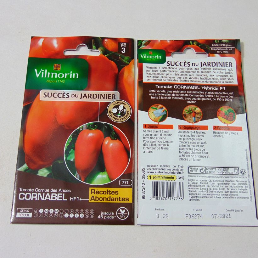 Ejemplo de ejemplar de Tomate Cornabel saco de 60 semillas (0.2g) tal y como se entrega