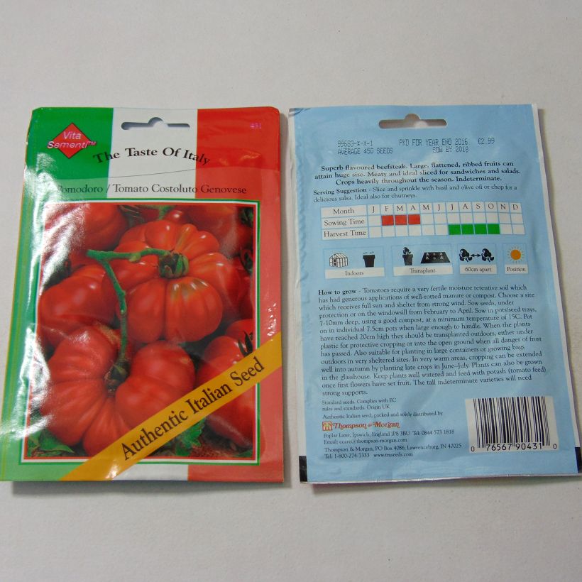 Ejemplo de ejemplar de Tomate Costoluto Genovese saco de 450 semillas tal y como se entrega