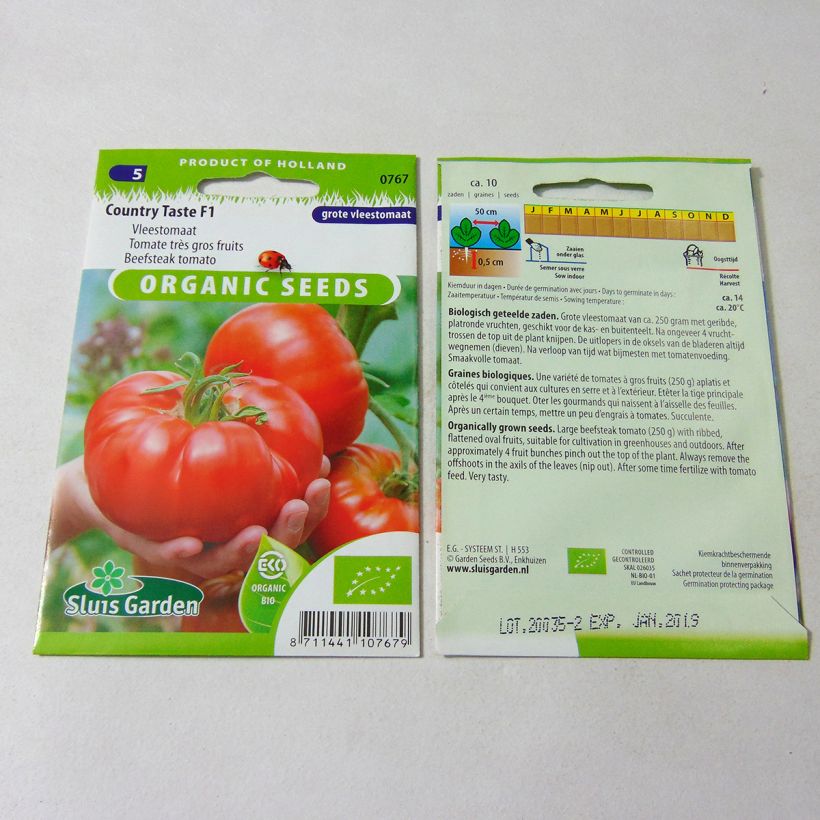 Ejemplo de ejemplar de Tomate Country Taste saco de 10 semillas tal y como se entrega