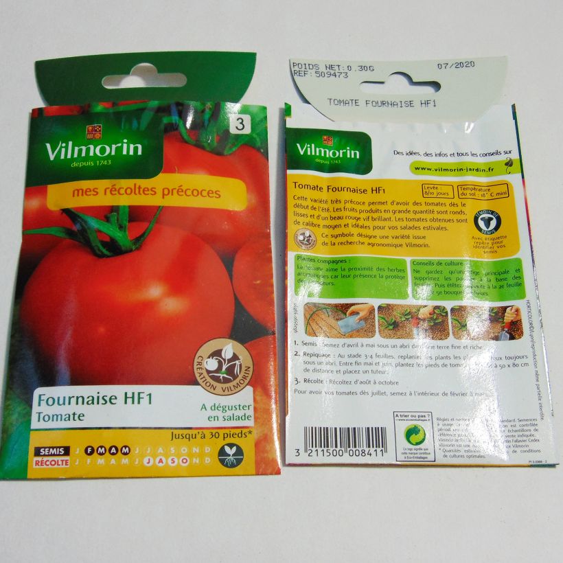 Ejemplo de ejemplar de Tomate Fournaise - Vilmorin saco de 90 semillas (0.3g) tal y como se entrega