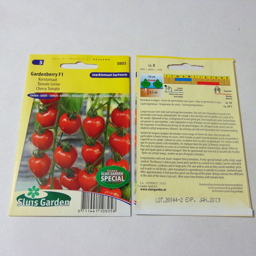 Ejemplo de ejemplar de Tomate cherri Gardenberry saco de 7 semillas tal y como se entrega