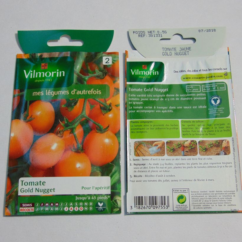 Ejemplo de ejemplar de Tomate Gold Nugget - Vilmorin saco de 150 semillas (0.5g) tal y como se entrega