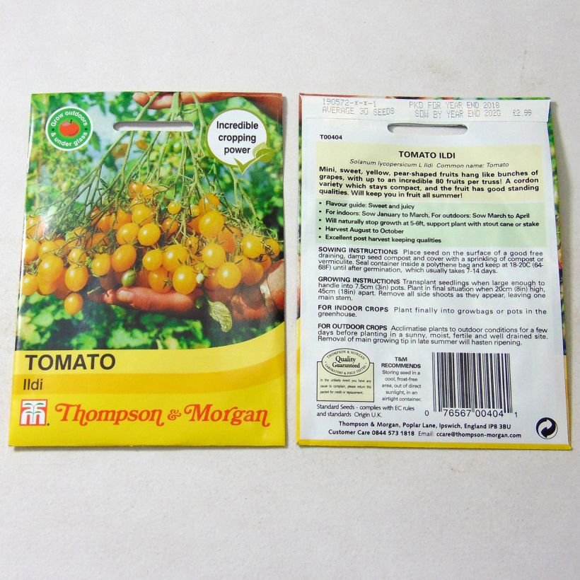 Ejemplo de ejemplar de Tomate cherri Ildi saco de 40 semillas tal y como se entrega