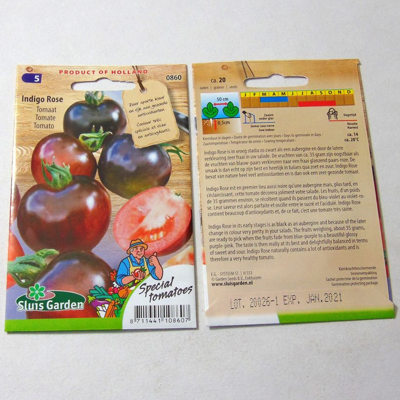 Ejemplo de ejemplar de Tomate Indigo Rose saco de 15 semillas tal y como se entrega