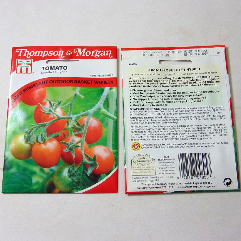 Ejemplo de ejemplar de Tomate cherri Losetto saco de 6 semillas tal y como se entrega
