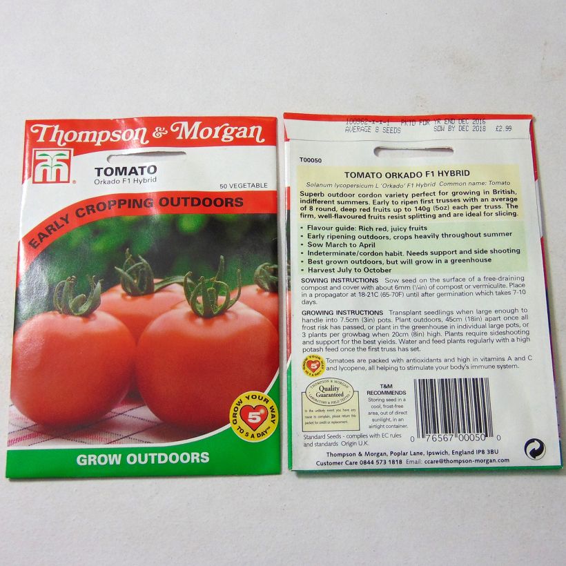 Ejemplo de ejemplar de Tomate Orkado saco de 8 semillas tal y como se entrega