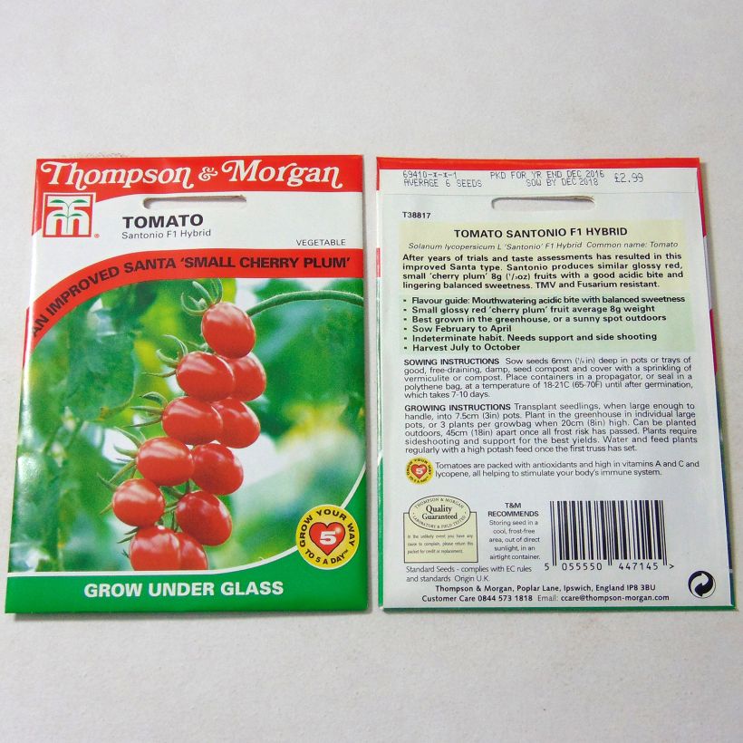 Ejemplo de ejemplar de Tomate cherri Santonio saco de 6 semillas tal y como se entrega