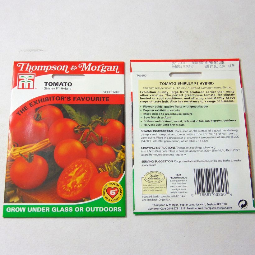 Ejemplo de ejemplar de Tomate Shirley saco de 10 semillas tal y como se entrega