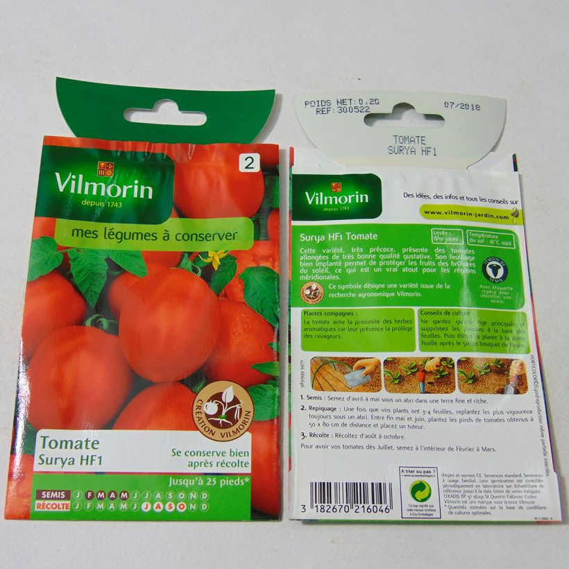 Ejemplo de ejemplar de Tomate Surya F1 (Création Vilmorin) - Vilmorin Graines tal y como se entrega