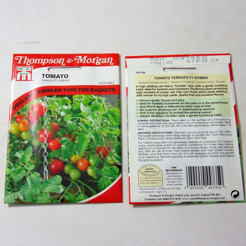 Ejemplo de ejemplar de Tomate cherri Terenzo saco de 6 semillas tal y como se entrega
