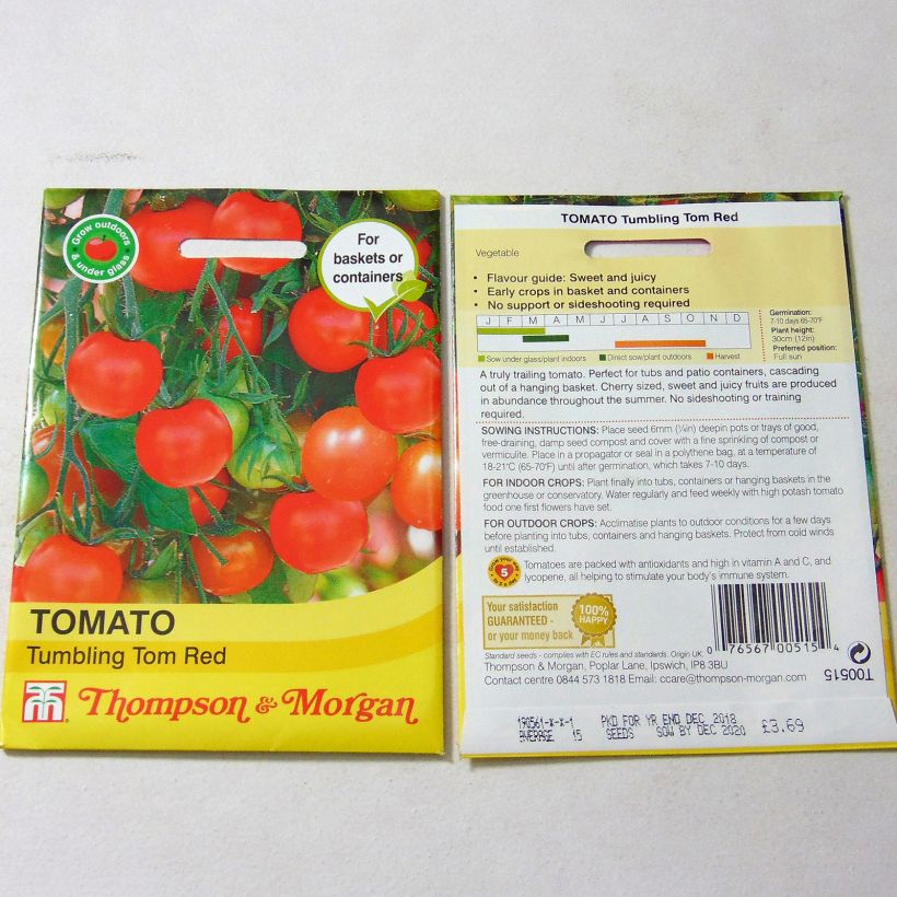 Ejemplo de ejemplar de Tomate cherri Tumbling Tom Red saco de 15 semillas tal y como se entrega
