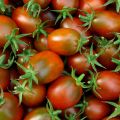 Tomate Prune noire