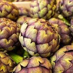 Alcachofa Violet de Provence Bio - Ferme de Sainte Marthe