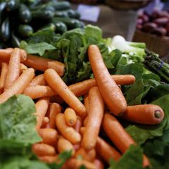 Zanahoria Berlicum 2 Bio - Ferme de Sainte Marthe