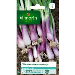 Cebolla roja - Vilmorin