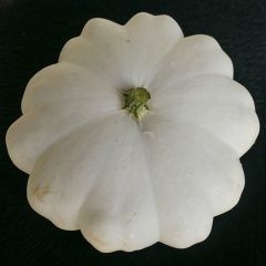 Calabaza bonetera Blanca