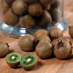 Kiwi Jenny - Actinidia deliciosa