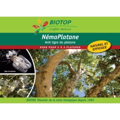 Nematodos NémaPlatane Biotop contra los tigres del plátano caja de 100 millones