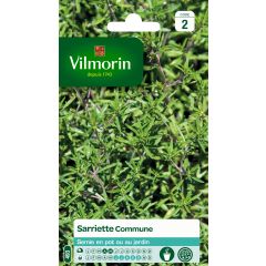 Ajedrea blanca - Vilmorin