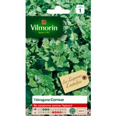 Espinaca de Nueva Zelanda - Vilmorin