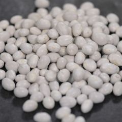 Judía de enrame Gros Sophie no tratada - Ferme de Sainte Marthe