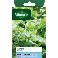 Menta - Vilmorin