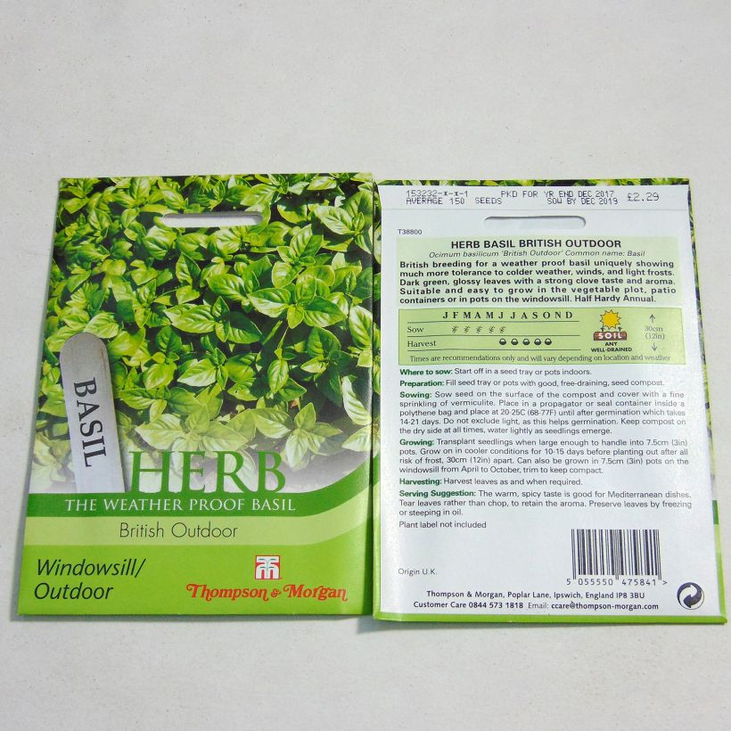 Ejemplo de ejemplar de Albahaca British Outdoor saco de 100 semillas tal y como se entrega