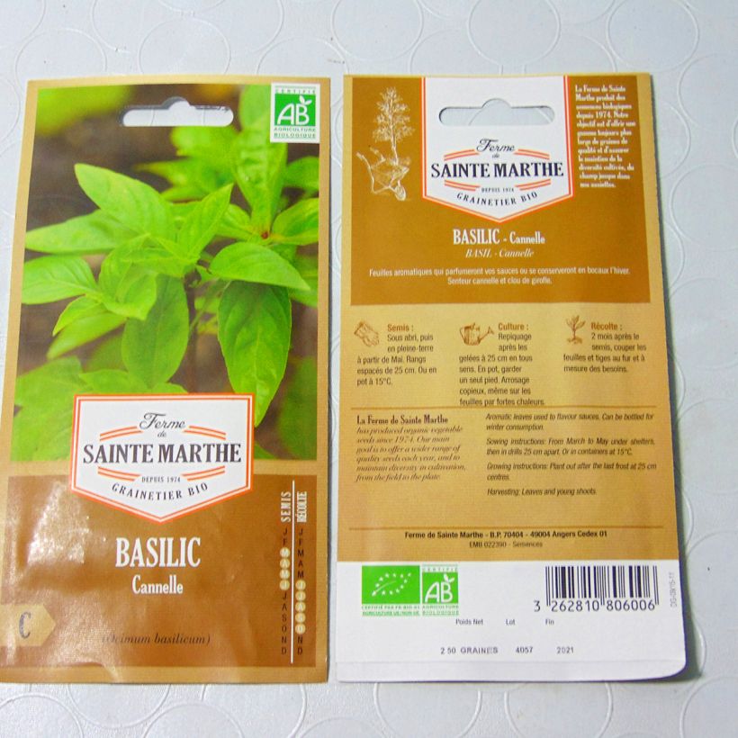 Ejemplo de ejemplar de Albahaca Cinnamorum saco de 150 semillas (0.2g) tal y como se entrega