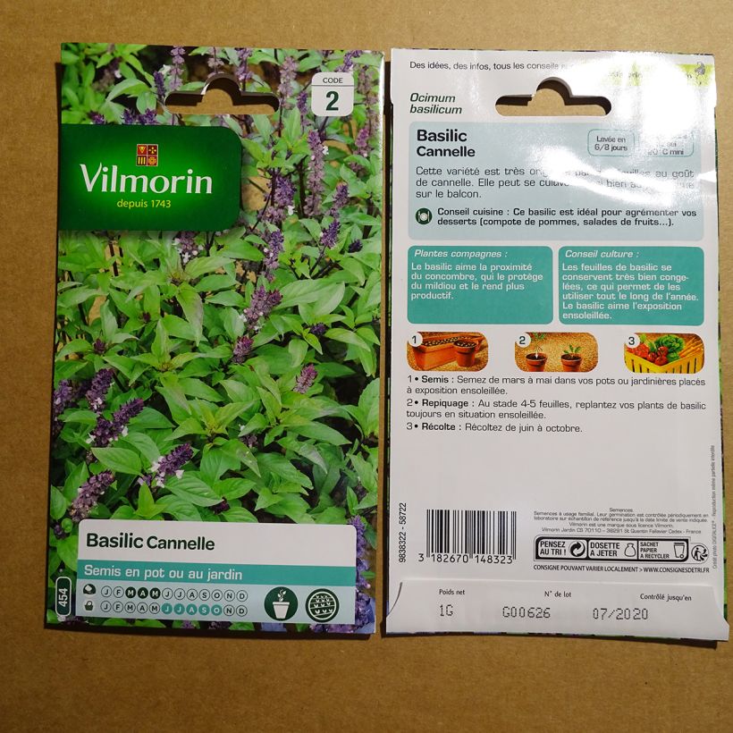 Ejemplo de ejemplar de Albahaca canela saco de 800 semillas (1g) tal y como se entrega