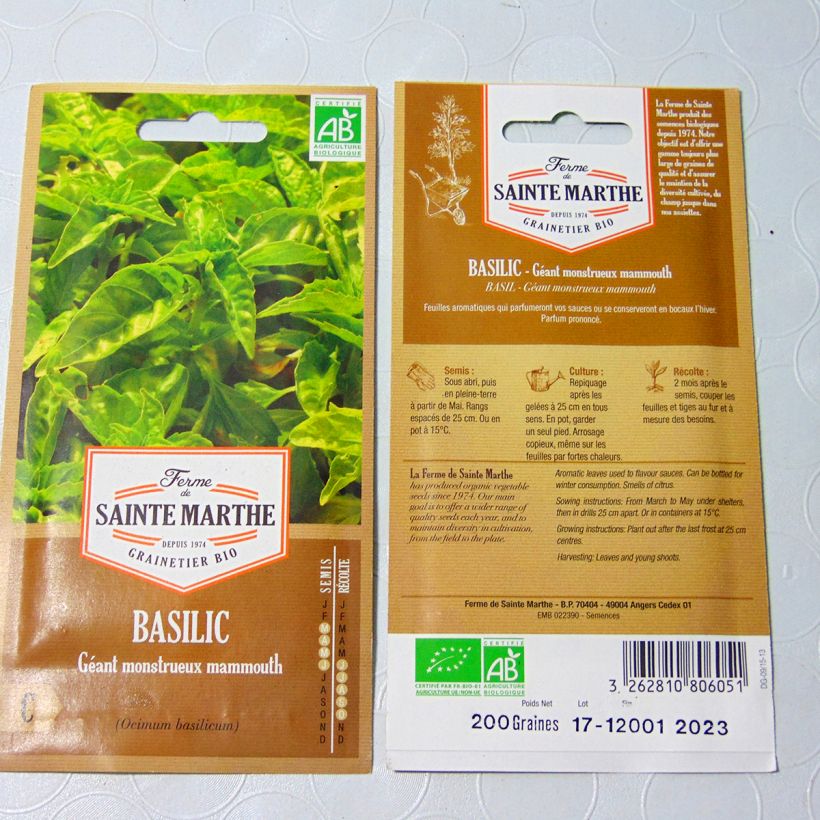 Ejemplo de ejemplar de Albahaca Géant Monstrueux Mammouth saco de 150 semillas (0.24g) tal y como se entrega