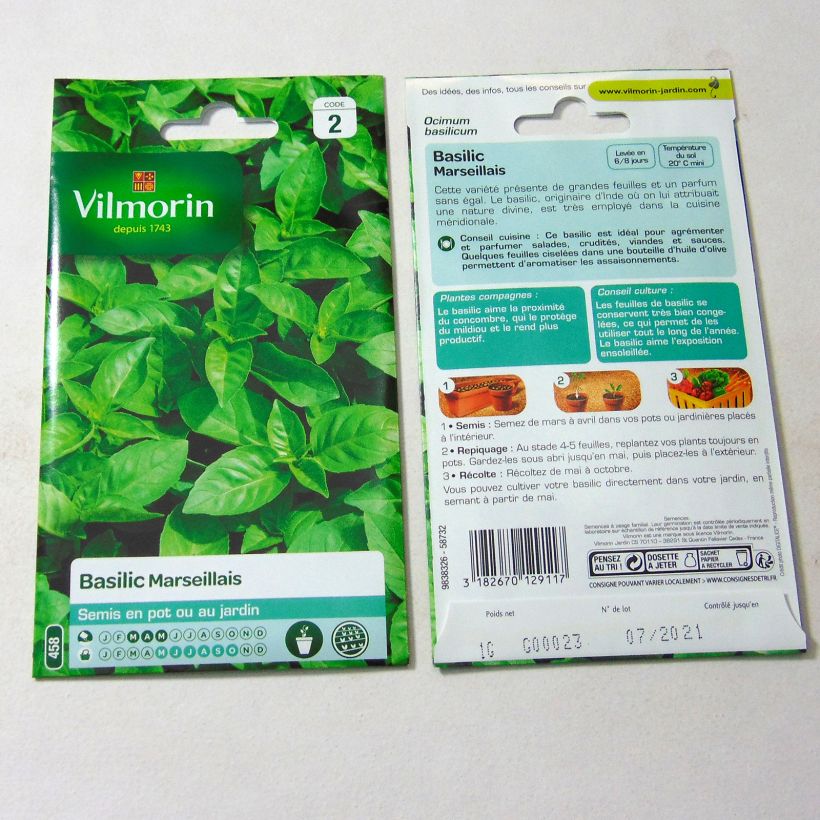 Ejemplo de ejemplar de Albahaca Marseillais - Vilmorin saco de 800 semillas (1g) tal y como se entrega