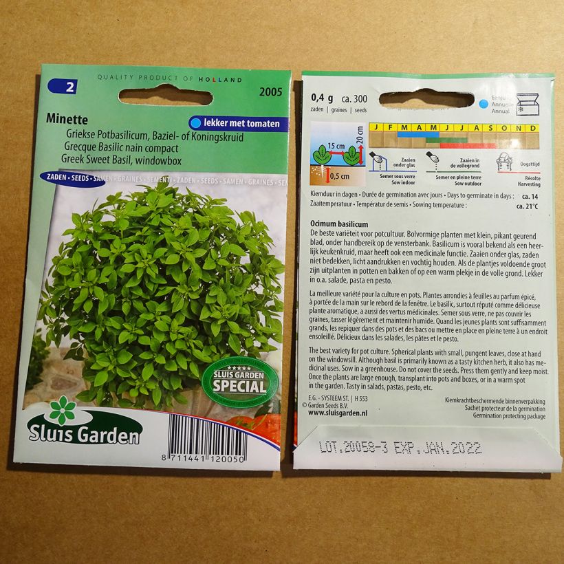 Ejemplo de ejemplar de Albahaca Minette saco de 600 semillas (1g) tal y como se entrega