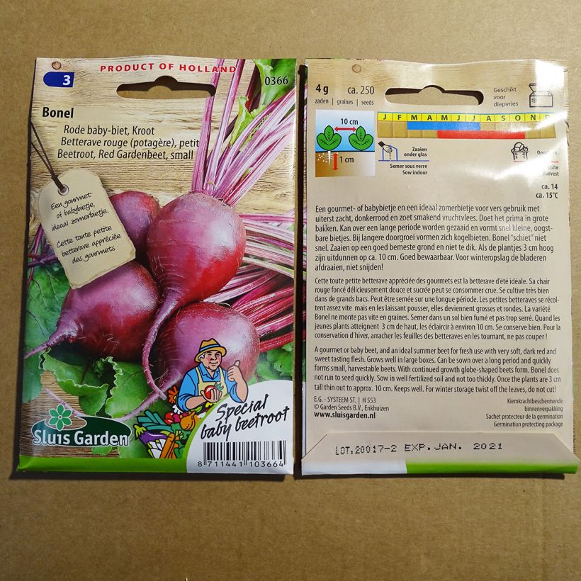 Ejemplo de ejemplar de Remolacha de mesa Bonel saco de 250 semillas (4g) tal y como se entrega