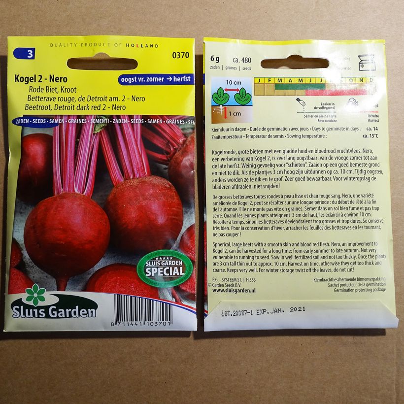 Ejemplo de ejemplar de Remolacha roja rouge de Detroit - Nero saco de 480 semillas (6g) tal y como se entrega
