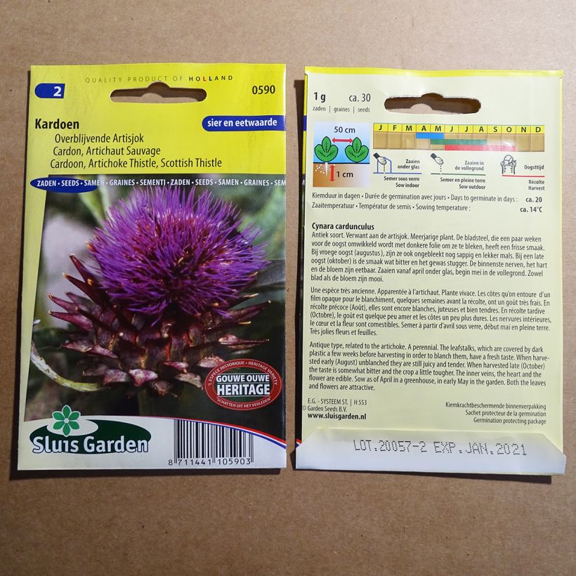 Ejemplo de ejemplar de Cardo - Cynara cardunculus saco de 20 semillas (0.8g) tal y como se entrega