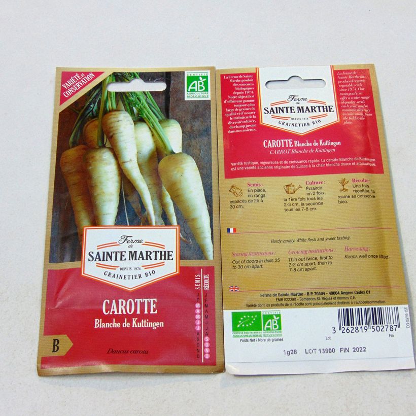 Ejemplo de ejemplar de Zanahoria Blanca Küttingen saco de 500 semillas (1.35g) tal y como se entrega