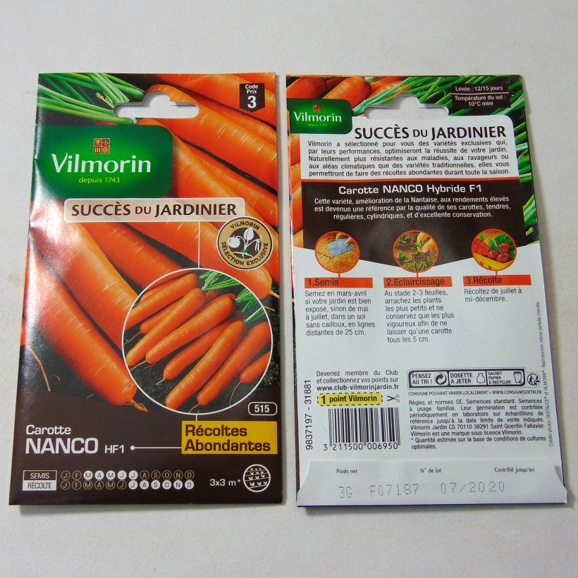 Ejemplo de ejemplar de Zanahoria Nanco saco de 1500 semillas (3g) tal y como se entrega