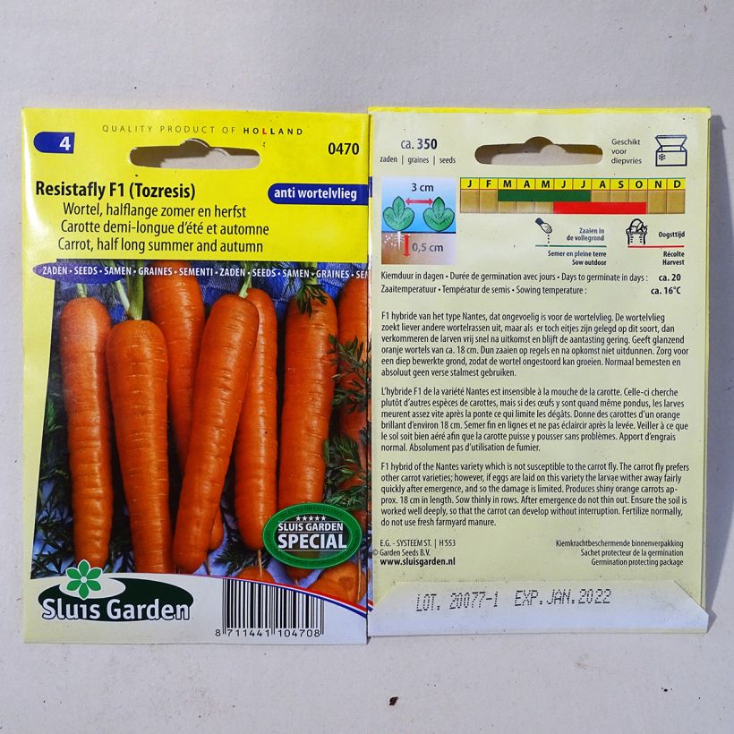 Ejemplo de ejemplar de Zanahoria Resistofly F1 saco de 375 semillas tal y como se entrega