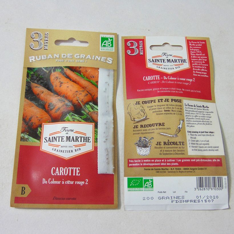 Ejemplo de ejemplar de Zanahoria Colmar à coeur rouge 2 Bio (cinta) - Ferme de Sainte Marthe Semillas en cintas tal y como se entrega