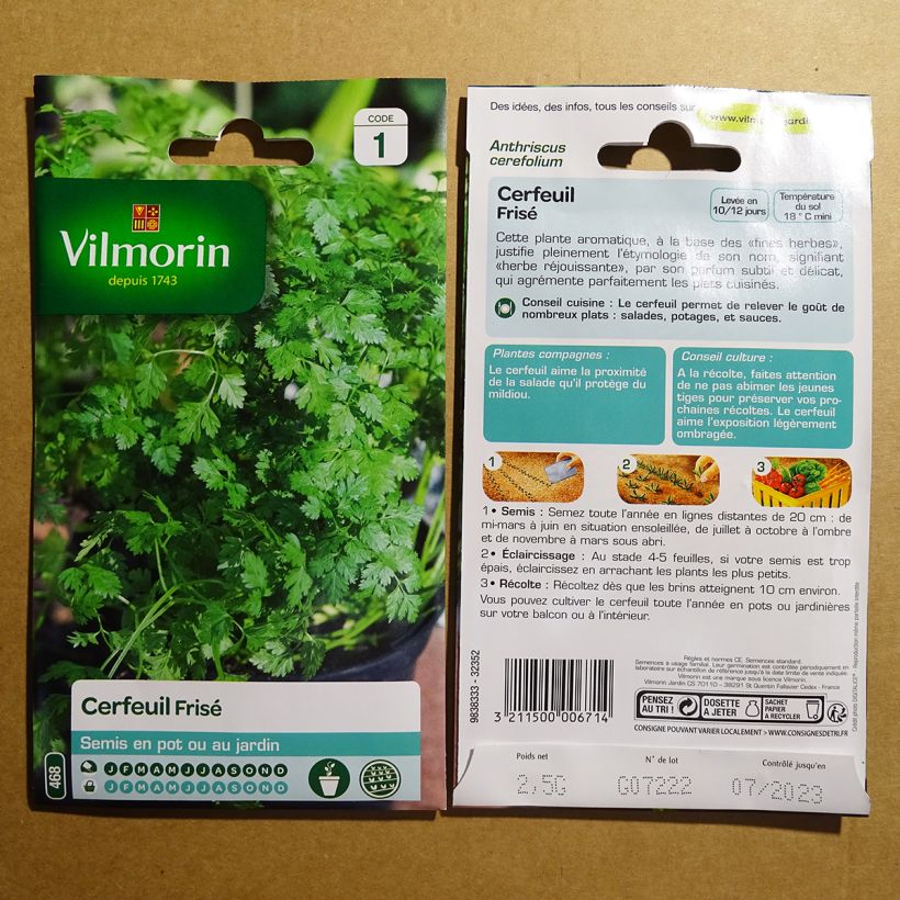 Ejemplo de ejemplar de Perifollo Frisé - Vilmorin saco de 30 semillas (2g) tal y como se entrega