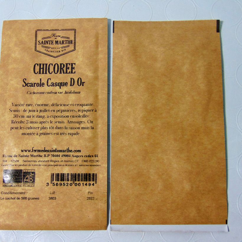 Ejemplo de ejemplar de Escarola Casque d'Or saco de 500 semillas tal y como se entrega