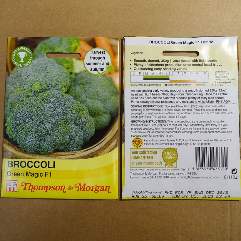 Ejemplo de ejemplar de Brócoli Green Magic F1 saco de 35 semillas tal y como se entrega