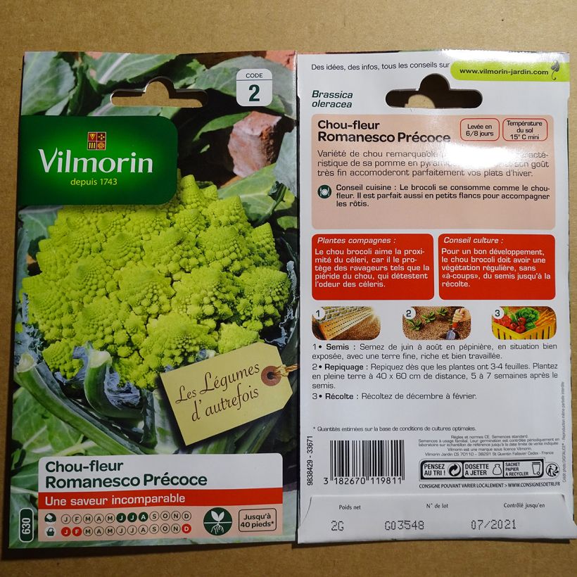 Ejemplo de ejemplar de Col Romanesco - Vilmorin saco de 800 semillas (2g) tal y como se entrega