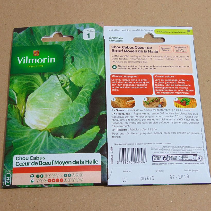 Ejemplo de ejemplar de Repollo Cœur de Bœuf Moyen de la Halle - Vilmorin saco de 800 semillas (2g) tal y como se entrega