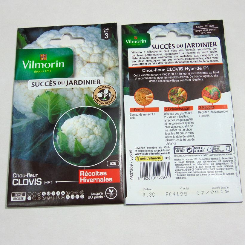 Ejemplo de ejemplar de coliflor Clovis F1 saco de 320 semillas (0.8g) tal y como se entrega