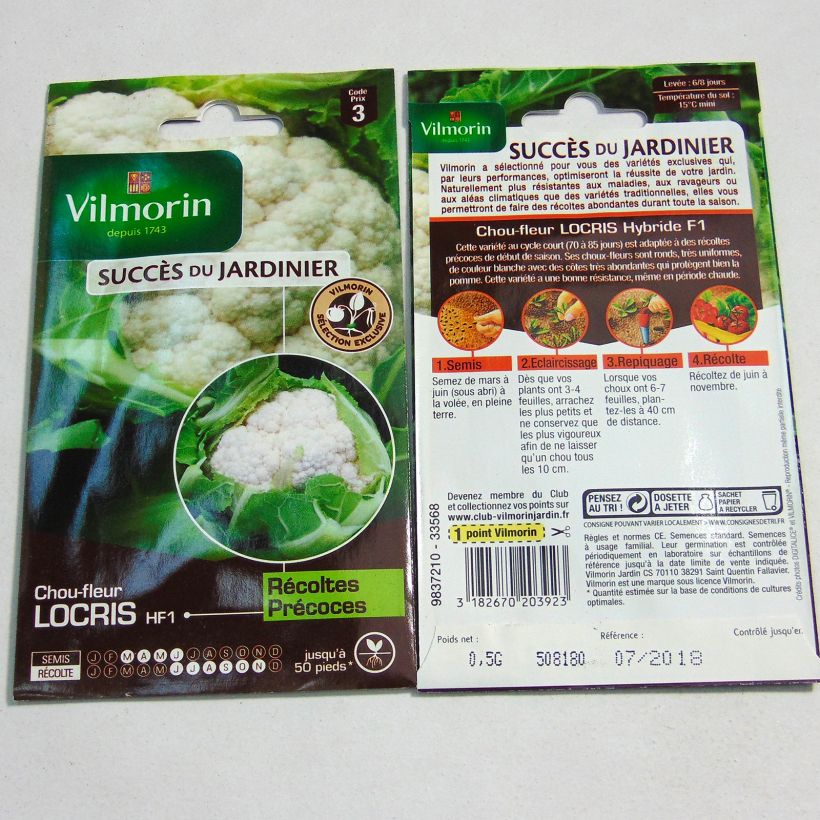 Ejemplo de ejemplar de Coliflor Locris F1 saco de 200 semillas (0.5g) tal y como se entrega