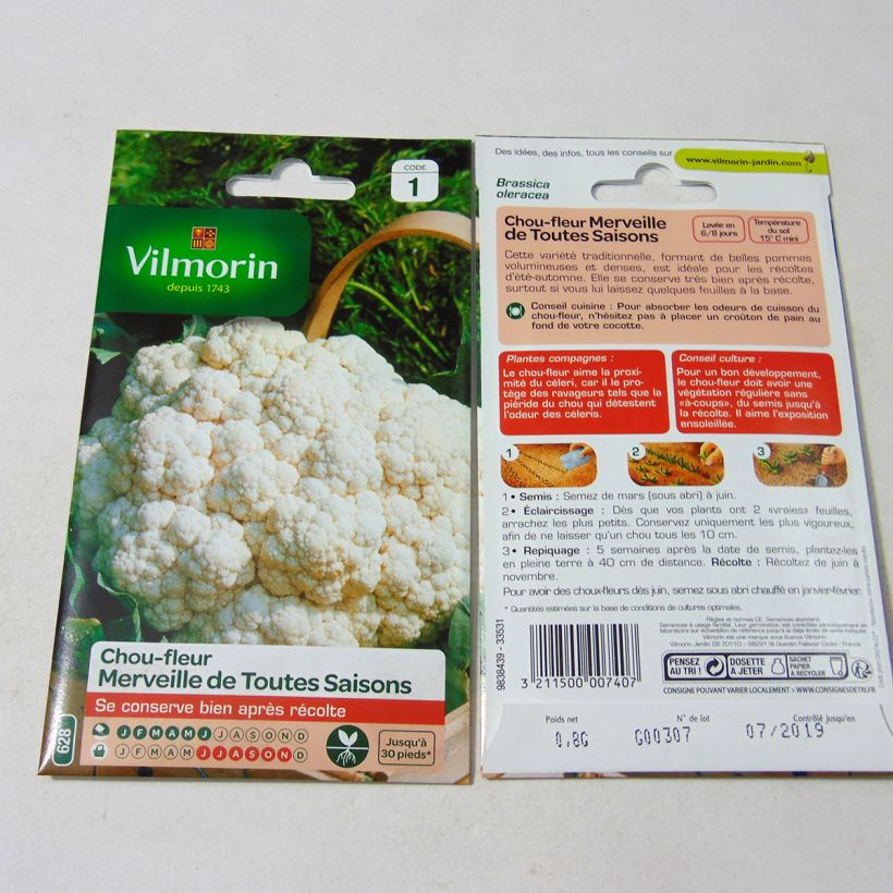 Ejemplo de ejemplar de Coliflor Merveille de Toutes Saisons - Vilmorin saco de 320 semillas (0.8g) tal y como se entrega