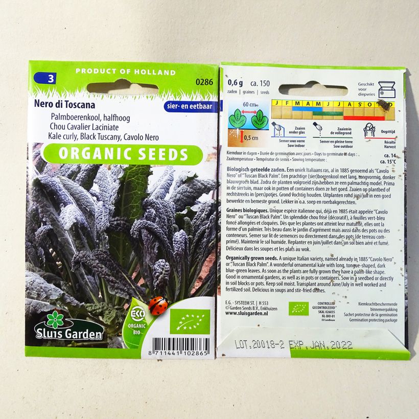 Ejemplo de ejemplar de Col crespa Nero di Toscana Bio saco de 150 semillas (0,7g) tal y como se entrega