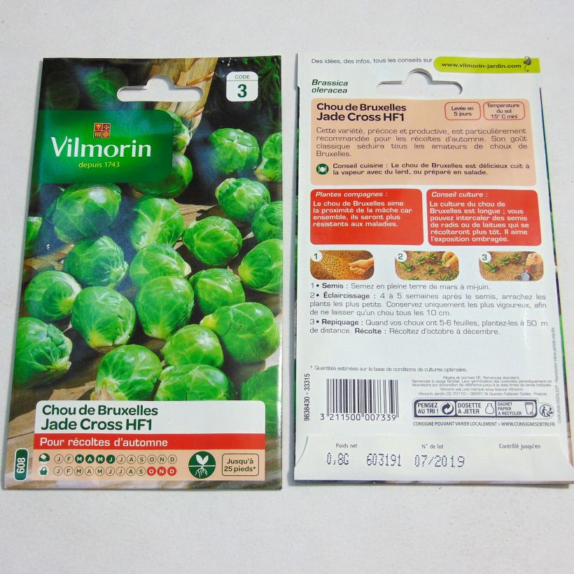 Ejemplo de ejemplar de Col de Bruselas Jade Cross F1 - Vilmorin saco de 325 semillas (0.8g) tal y como se entrega