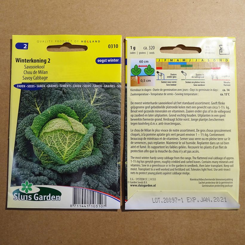 Ejemplo de ejemplar de Col de Milan Winterkoning 2 saco de 320 semillas (1g) tal y como se entrega